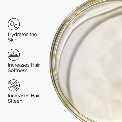 100% Organic Cold-Pressed Moroccan Argan Oil - US 2985